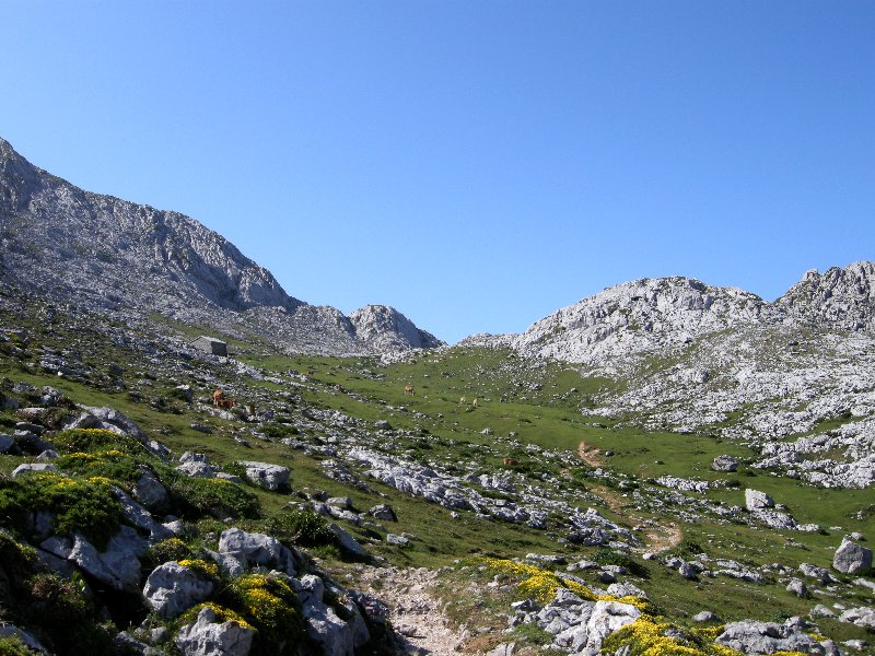 Picos_2013 133